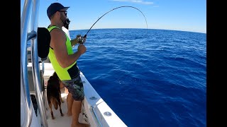 Testing out the NEW NOMAD DESIGN Slow Pitch Jigging Rods [upl. by Fernando116]