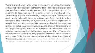 Description of Immature Stages of the Brown Dog Tick Rhipicephalus Sanguineus Acari Ixodidae Using S [upl. by Felten]