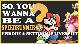 How to Set Up LiveSplit  So You Wanna Be A Speedrunner [upl. by Alves]