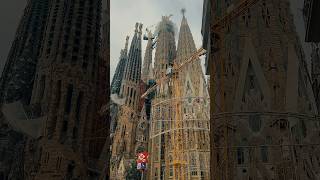 Hello World  Sagrada Familia 🌍 ⛪️ shorts sagradafamilia barcelona [upl. by Marjie]