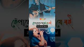 Nahorore pate pate oi jann  Zubeen Garg bihu song  joi Zubeen da ❤️ [upl. by Standing918]