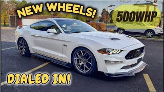 NEW WHEELS For My 500HP Mustang GT DIALED IN [upl. by Clemen]