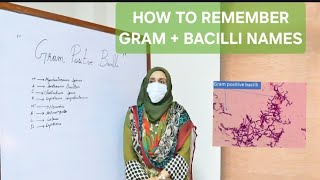 Menmonic to remember gram  bacilli names [upl. by Nathanael]