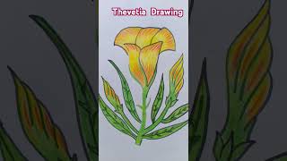 How to draw a 😍Thevetia 😍flower drawing ytshorts [upl. by Spiegelman]