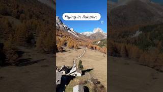 La magia della Valle Stretta in autunno autumn shorts life alps dji vallestretta foliage [upl. by Oringas]