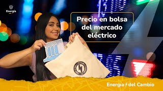 ¿Cómo se fijan las tarifas de la Energía [upl. by Ainosal534]