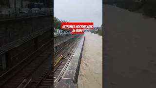 Extremes Hochwasser in Wien am 15092024 heavyrain hochwasser vienna viralvideo trending [upl. by Bryana135]