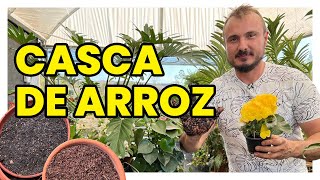 Utilize a casca de arroz e veja o incrível acontecer [upl. by Atnes254]