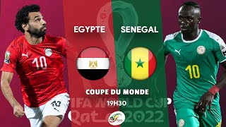 EGYPTE  SENEGAL LIVE  LA REVANCHE POUR SALAH   BARRAGES COUPE DU MONDE  CDM 2022 [upl. by Adnuhsal]