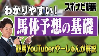 【馬体】競馬予想がもっと面白くなる！馬体の見方！わかりやすく基礎から学べます【YouTuberやーしゅんの競馬予想のポイント解説／スポナビ競馬】 [upl. by Lledniuq]