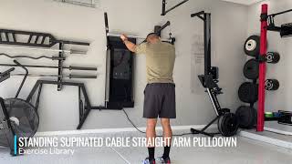 Standing Supinated Cable Straight Arm Pulldown [upl. by Pauly]