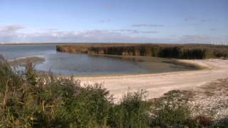 Natuurfilm de Makkumer Waard deel 22  Henry Spruyt [upl. by Cheffetz]