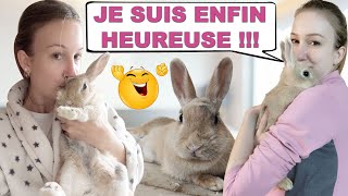 🐰 JADOPTE UN 2eme LAPIN NAIN  MON HISTOIRE AVEC GINA  AVOIR DEUX LAPINS  AVOIR UN LAPIN [upl. by Auoz798]