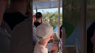 Miami Everglades adventurevacation travel miami [upl. by Mirna]