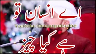 Ay Insaan Tu Hai Kia Molana Saqib Raza Mustafai Bayan [upl. by Adniuqal]