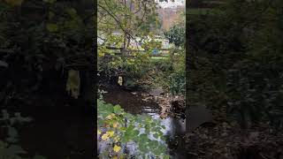 Down by the Riverside riverside allotment jesmonddene newcastle ouseburn folk folkmusic [upl. by Stalder590]