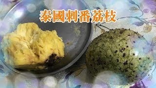 自家種刺番荔枝成熟落果黃肉品種20190725 [upl. by Ahsemed309]