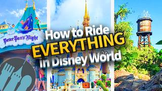 How to Ride EVERYTHING in Disney World [upl. by Merceer]