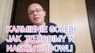 Sezon Lotowy porady  Karmienie gołębi według H G SOJKA TEAM [upl. by Elburr]