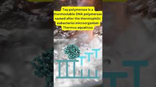 Polymerase Chain Reaction  PCR DNAAmplification TaqPolymerase GeneResearch MedicalDiagnostics [upl. by Belier]