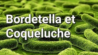 BORDETELLA ET COQUELUCHE [upl. by Darline]