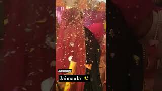 Sadhi ✨ jaimala with garhwalistyle 😊trendingshorts wedding [upl. by Harmon100]