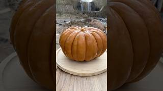 Pumpkin Dessert in a Tin  Tenekede Kabak Tatlısı [upl. by Atat]