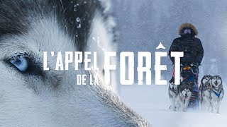 LAPPEL DE LA FORÊT  TRAILER [upl. by Ardnaxela]