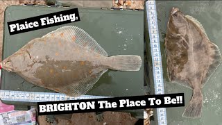 PLAICE Fishing UK BRIGHTON the PLACE to be [upl. by Alayne638]