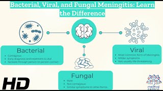 Decoding Meningitis Understanding Bacterial Viral and Fungal Varieties [upl. by Takken]