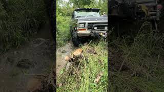 Ford Bronco Stuck on Stump [upl. by Alleroif896]