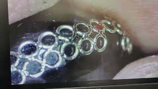 Laser retipping on Heat sensitive gemstones with VTRON TR135180 laser welder wwwvtronlaserscom [upl. by Paehpos]