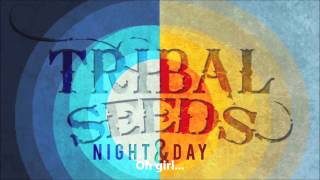 Tribal Seeds  Night amp Day [upl. by Yeargain33]