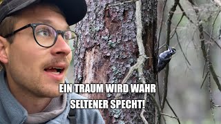 Auf der Suche nach dem SELTENSTEN Specht [upl. by Vivyan]