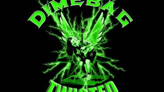 Dimebag Darrell  Twisted [upl. by Schaper]