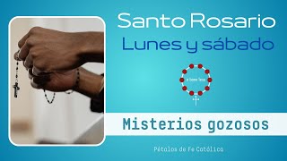 Santo Rosario de HOY LUNES Misterios Gozosos [upl. by Yllet]