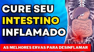 COMO DESINFLAMAR O INTESTINO COM ERVAS [upl. by Adnalay]