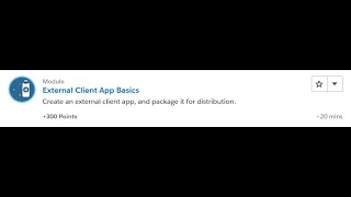 External Client App Basics Salesforce Trailhead Answers [upl. by Anagnos]