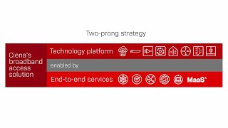 Ciena Services for Broadband Access Accelerate TTM Reduce Risk [upl. by Elnukeda751]