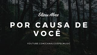 Elizeu Alves  Por Causa de Você Legendado [upl. by Nosnej534]