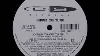 Hippie Culture  Accelerator Can You Feel It 12 Bit Mix [upl. by Geralda787]