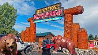 Yellowstone Bear World Drive Thru Wildlife Park  Rexburg Idaho [upl. by Giraud]