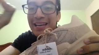 REVIEW  OPINIÓN ADIDAS OZELIA KNIT [upl. by Mcnully841]