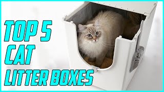 5 Best Cat Litter Boxes for 2023 [upl. by Naivart]