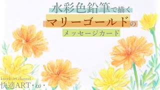 【水彩色鉛筆】マリーゴールドのイラストメッセージカードを描く！初心者向け簡単リアルな花の絵の描き方解説 [upl. by Yenot]