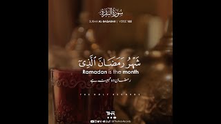 Ramadan Special Verses Recited by Abdul Rahman Mossad  The Holy Records  عبدالرحمن مسعد  رمضان [upl. by Krahling784]