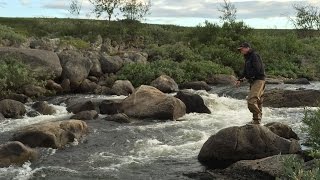 Finnmark 2016  Tørrflue laks og midnattsol [upl. by Inaej]