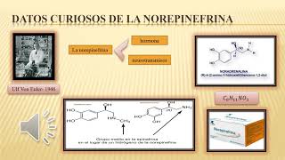 Sintesis y Retrosintesis de Norepinefrina y Fentanilo Pacompia Bravo Brandon V [upl. by Miculek]