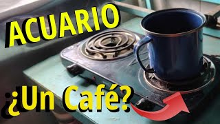 Signo Acuario ♒ Vamos a tomarnos un café ☕ [upl. by Rennold]