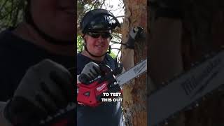 See The New M18 FUEL Top Handle Chainsaw [upl. by Tressa]